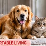 How to Make Your Home More Pet-Friendly